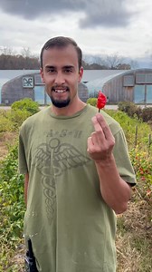 Some of us like 'em hot 🔥, and some of us not so much. Either way, we have a spectacular selection of hot pepper 🌶 varieties at Baker Creek! | Baker Creek Seeds