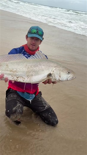 I just got bitch slapped by a kob 😳 #fishing #fish #kob #kabeljou #slapAbitch