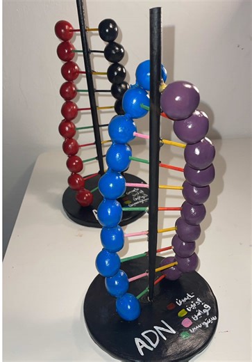 Livraison disponible 58 wilaya 🚚📦 contact us to order ✨💓#clay #argile #المشاريع #projet_scolaire #adn