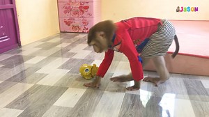 14K views · 814 reactions | Jason Curious Entertain Play Toys To Not Let Mom Interfere | Monkey Jason | Facebook