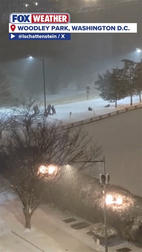 CAPITOL SLEDDING🛷: Check it out! Kids came out before sunrise to take advantage of the fresh snow in Washington D.C. The massive storm system is continuing to move through the area today, where more snow and even sleet is expected. Stick with FOX Weather for the latest. #snow #washingtondc #winterstorm #FoxWeather | FOX Weather