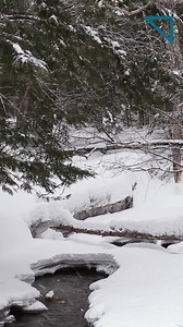 Burke Mountain on Reels