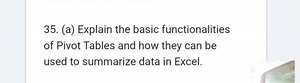 (a) Explain the basic functionalities of Pivot Tables and how t... | Filo