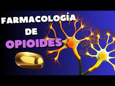 Pharmacology of tramadol, morphine and other opioids