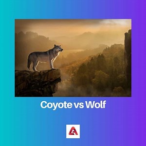 Coyote vs Wolf: Difference and Comparison