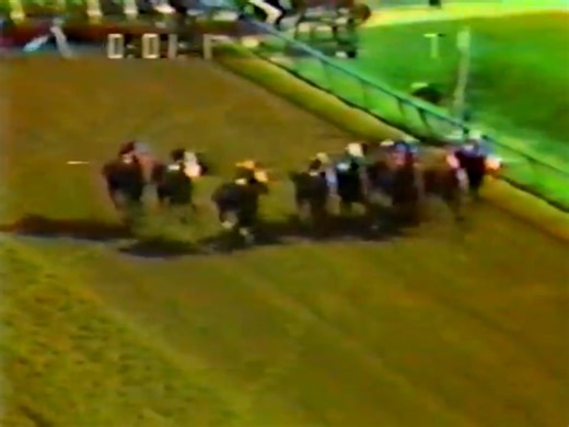 Alydar - 1978 Blue Grass Stakes (Full Race) | Natural life Viewer