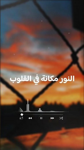 النور مكانه في القلوب ♥️ #النور_مكانه_في_القلوب#مدحت_صالح#كلمات_أغنية#اغاني_عربية#فيلم_أمير_الظلام#