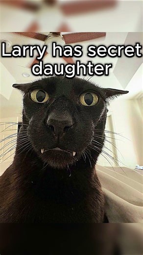 scary isn't it? #cat #memes