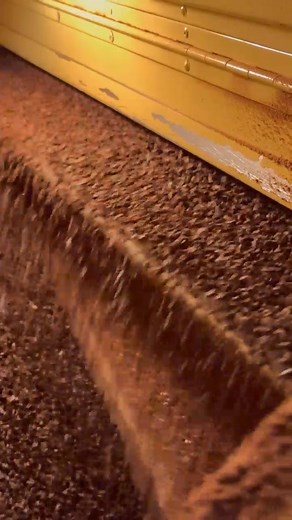 Winnowing, the process of separating the cocoa bean's outer shell from the nibs inside, at our Burlingame facility. | Guittard Chocolate Company