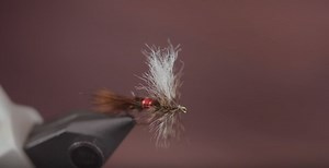 How to Tie a Royal Wulff Dry Fly