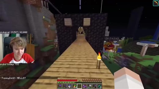 Exploring the Characters of DSMP: TommyInnit and Captain Puffy