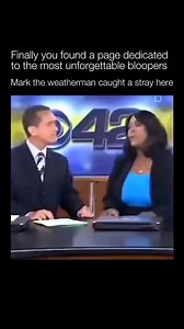 During a lighthearted holiday segment about dressing up dogs, a news anchor accidentally delivered one of the most infamous lines in local TV history. While joking about her co-host’s dachshund, she said, “Mark has a little wiener,” without realizing how it sounded. The immediate silence and Mark’s stunned expression made the moment unforgettable. The clip went viral because it combined innocence, confidence, and instant regret, proving once again that live television waits for no one. | Unforge