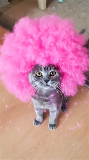 hola #spiderman #ㅇyㅇ #seguimi #audio #transformers #eljugueterodelaesme #minecraft #funny #fnaf