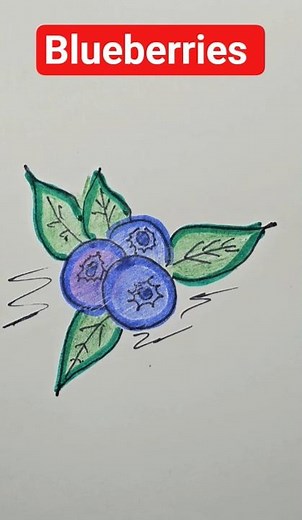 how to draw blueberries? (Fruits drawing tutorial for beginners)