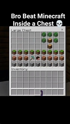 I beat Minecraft inside a chest 😂 #shorts