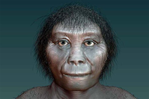 Modern humans unfairly blamed for extinction of Indonesia’s ‘hobbits’