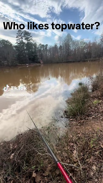 Topwater Fishing Techniques for Largemouth Bass
