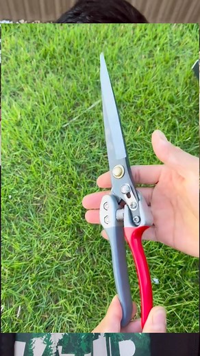 #fblifestyle New style scissor#strong and useful | 机具