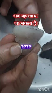 Water Chestnut or Singhada.... ‪@EnglishCorrelation‬