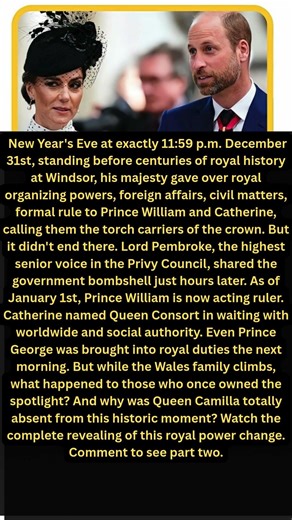 Historic First: King Hands Over Sovereign Duties — Prince William Assumes Role as Acting Sovereign