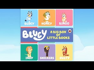 Bluey A Big Box of Little Books | Early Literacy Skills for Toddlers | Read Aloud | Hoots & Tales