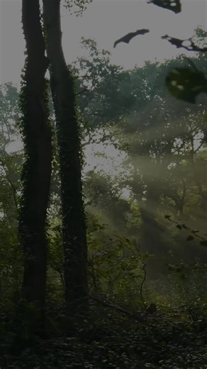 99 Names of Allah: A Deep Dive into Their Significance