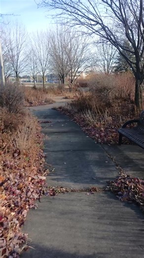 #mcdonalds #burgerking free cheeseburger challenge!!! who will win???