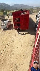 The process of loading sheep onto a truck #GreatTips #LivestockTransport | Ogunquit, Maine Oceanfront Rentals