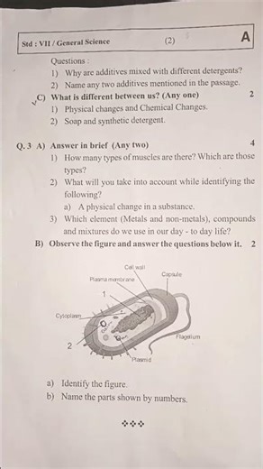 7 standard science question paper