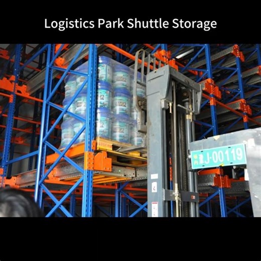 HEGERLS Shuttle Storage System in Logistics Park | High-Density Storage #warehouseautomation