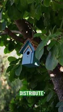 Beyond PyTorch: AI's New Python Toolkit