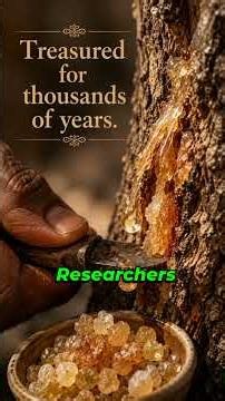 The Ancient Memory Booster Frankincense Luban & Brain Health 🧠✨1