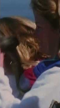 Time to Let Her Go #otter #wildlife #animaldocumentary
