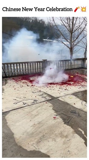 Chinese New Year Celebration 🧨💥