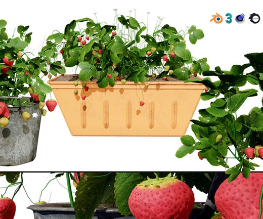 ArtStation - 3D Strawberry Plant Collection | Resources