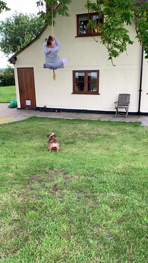 Bionic_crane on TikTok