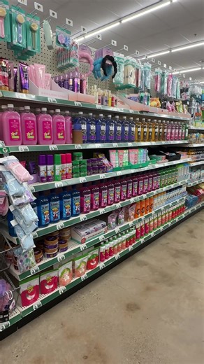 Beautifully Organized Dollar Tree Store Tour