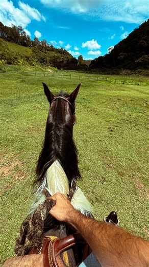 bom dia 🎩 | TIAGO IORC