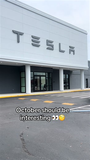 Hmmm 🧐 #tesla #teslatok #modely #ev #relatable | tesla