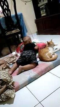 Hubungan manusia dan hewan peliharaan...