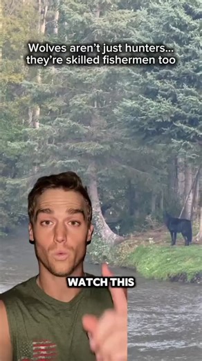 74K views · 1.2K reactions | The wild finds a way.  Watch till the end… one of them nails the catch. #Wolves #Wildlife #NatureIsMetal #AnimalBehavior #naturedocumentary #foryou #wildlife #foryou #bowhunting | huntingclipss | Facebook