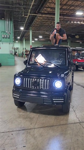 SAFERWHOLESALE.COM/LSV COCO BOXER GOLF CAR | SaferWholesaleCom