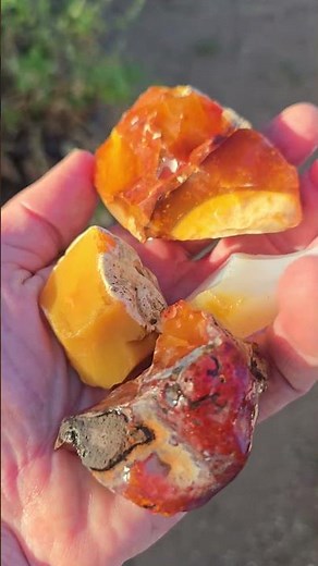 Opals From The Maury Mountains of Central Oregon