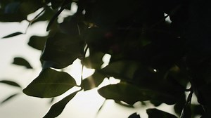 3.4K views · 111 reactions | Friends, if you have always wanted to...