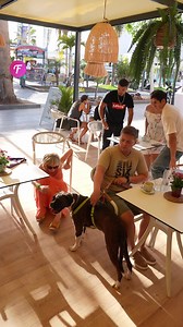 156K views · 241 reactions | Surprise dog interaction at cafe | Fabiosa Philippines | Facebook