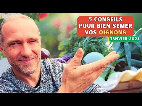 Bien semer ses oignons au potager - Janvier 2024