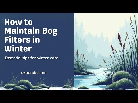 Winter Bog Filter Maintenance