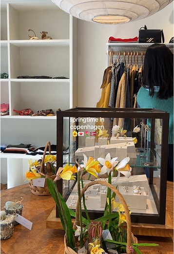 Discover Copenhagen: A First Day Adventure