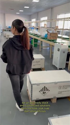 Why Do Energy Storage Purchasers Prefer Our Factory?#Detached House Energy Storage Battery#10 kWh