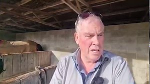 Harness Racing Unhinged on Reels